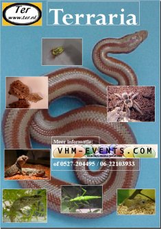 terraria_flyerblanco_klein.jpg terraria_flyerblanco_klein.jpg